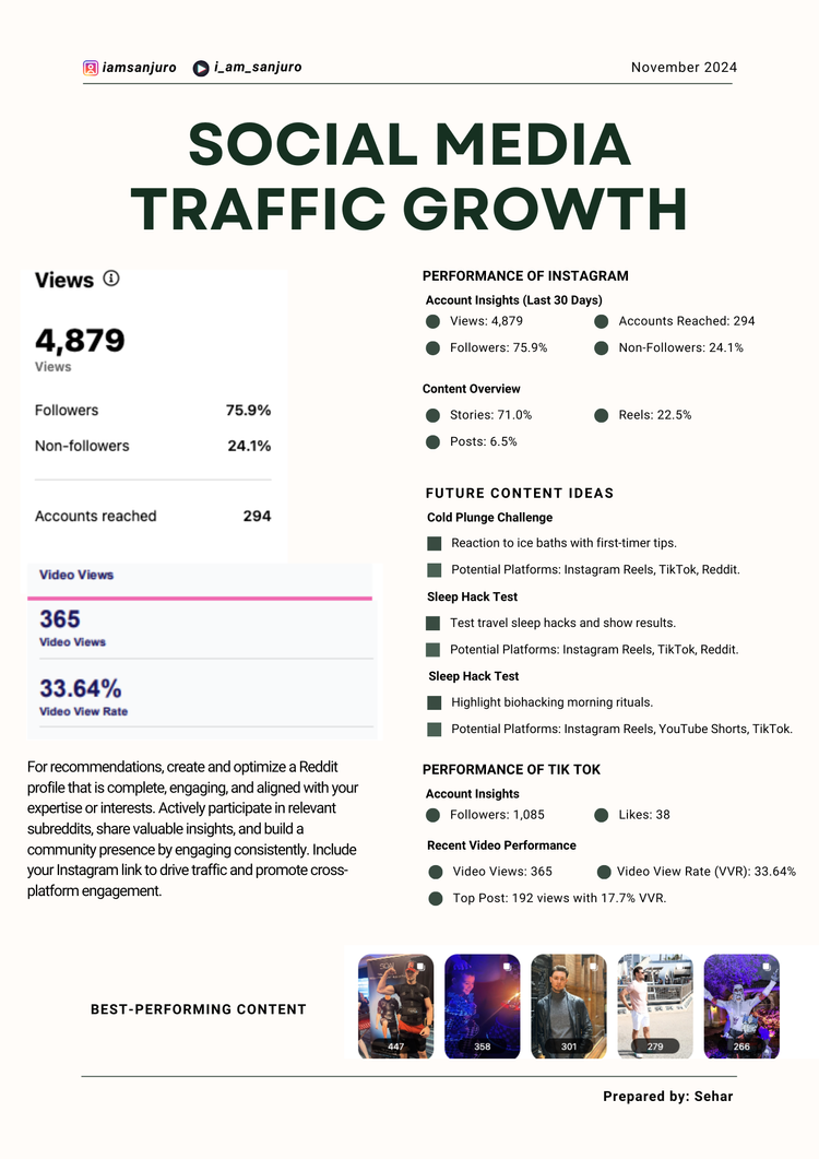 Analytic Report Example 2
